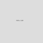 banner1-1